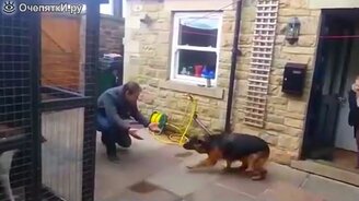 Сборник прикольных роликов - смотреть видео (11:15)