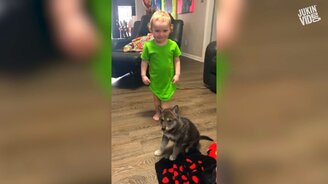 Приколы? Приятно познакомиться! - смотреть видео (10:16)