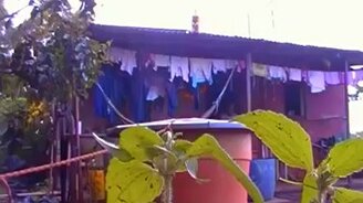 Розыгрыш для кота - смотреть видео (0:20)