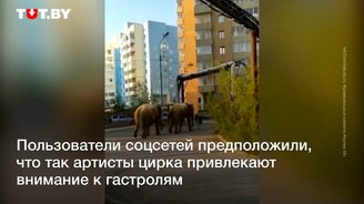 Слоны в Якутске - смотреть видео (0:40)