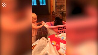 25 видео с детьми собаками - смотреть видео (10:03)