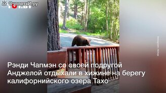 Медведь ломился в хижину к девушкам - смотреть видео (1:26)