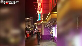 Жуткое нашествие насекомых - смотреть видео (0:40)