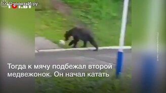 Медвежата играют в футбол - смотреть видео (0:40)