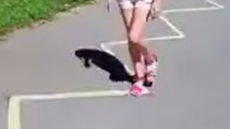 Весёлая полоса задач - смотреть видео (0:50)