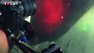 Встреча с древней акулой - смотреть видео (0:58)