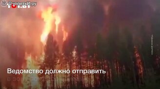 Пожарные едут через горящий лес - смотреть видео (0:48)