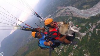 Хаски-параглайдер - смотреть видео (5:48)