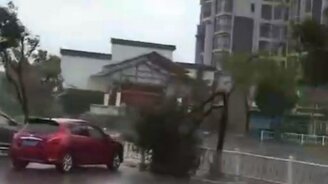 Что принёс тайфун «Лекима» - смотреть видео (5:03)