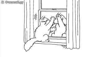 Солнечное пятно и кот Саймона - смотреть видео (1:55)