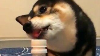 Открыл пробку языком - смотреть видео (0:10)