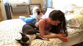 Топ лучших смешных и милых видео - смотреть видео (19:48)