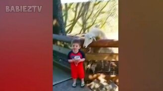 Детишки и зверушки в зоопарке - смотреть видео (10:22)