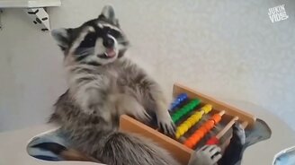 Снова в школу! - смотреть видео (10:21)