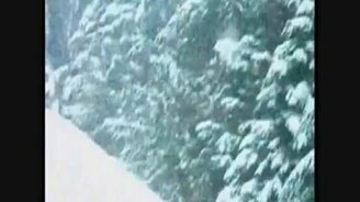 Смешная домашняя подборка 55 - смотреть видео (9:28)