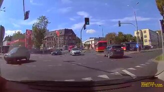 Олень, он и есть олень! - смотреть видео (0:10)