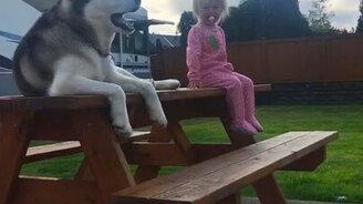 Хор девочки и хаски - смотреть видео (0:59)