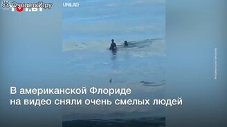 Парень и девушка рядом с акулами - смотреть видео (0:32)