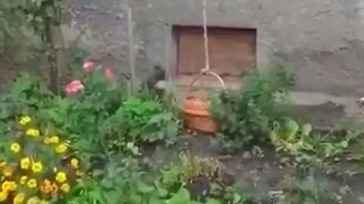 Арсений, давай домой! - смотреть видео (0:52)