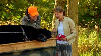 Медведь оживает! - смотреть видео (1:39)