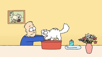 Цветные приключения кота Саймона - смотреть видео (11:09)