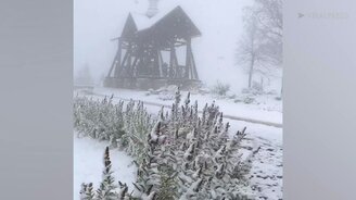 Снегопад в осеннее время - смотреть видео (0:35)