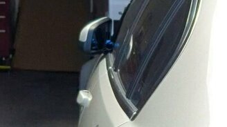 Птичка противостоит себе - смотреть видео (0:21)