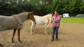 Невероятная реакция животных на музыку - смотреть видео (6:54)