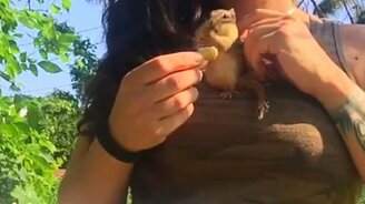 Кормление бурундучка - смотреть видео (0:14)