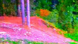 Прыжок на велике через медвежонка - смотреть видео (0:03)