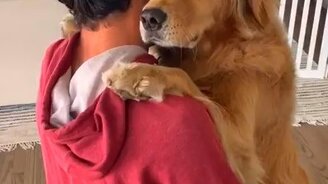 Нежная псинка - смотреть видео (0:06)