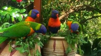 Разговор с отражением - смотреть видео (0:35)