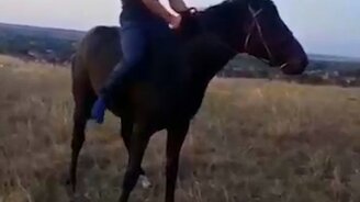 Катапультировал всадника - смотреть видео (0:16)