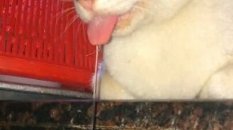 Чистое наслаждение от сна - смотреть видео (0:09)