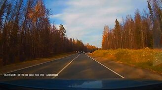 Дерево падает на дорогу - смотреть видео (0:40)