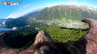 Как орлан видит землю в полёте - смотреть видео (0:40)