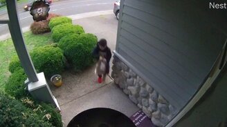 Когда твоя работа тебе нравится - смотреть видео (0:15)