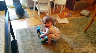 Музыкальный дуэт собаки и девочки - смотреть видео (2:00)