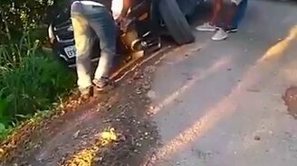 Настоящая медвежья услуга - смотреть видео (0:15)