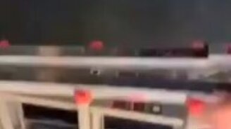 Мяукал котёнок, а показалась змея - смотреть видео (0:26)