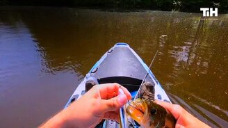 Приколы за последнюю неделю - смотреть видео (10:02)