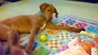 Игры счастливых детей и собак - смотреть видео (10:04)