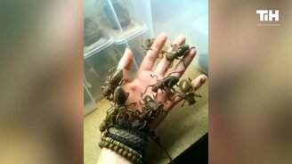 Когда природа нас пугает - смотреть видео (6:37)