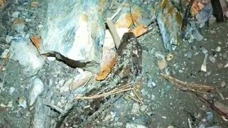 Рыбак: что я поймал? - смотреть видео (1:22)