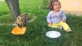 Одни из ярких приколов недели - смотреть видео (9:25)