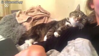 60 приколов последнего месяца - смотреть видео (17:22)