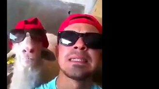 Приколы сегодняшнего дня - смотреть видео (5:17)