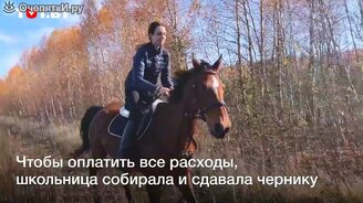 Выкупили лошадь и переехали в деревню - смотреть видео (1:09)