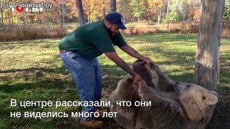 Медведица узнала своего спасителя спустя много лет - смотреть видео (0:46)
