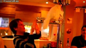 Закружил кота - смотреть видео (0:36)